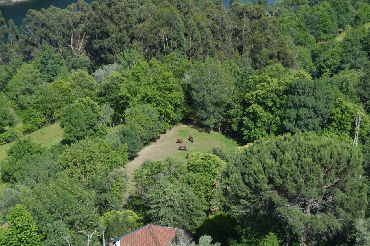 Casa São Bernardo de Claraval Gerês Exterior foto